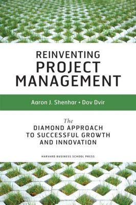  Reinventing Project Management: A Review Through the Lens of Innovation