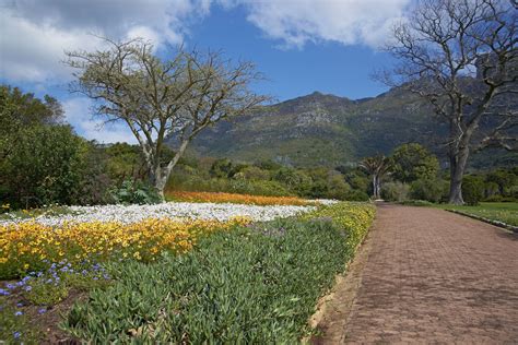  Jardins d'Afrique du Sud: Une Exploration Botanique Vibrante et Inspirante