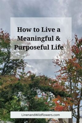   Purposeful: A Guide to Living a Meaningful Life:  A Turkish Symphony of Self-Discovery and Career Fulfillment